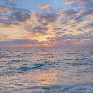 Meet your Posher, Trinity